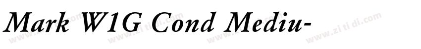 Mark W1G Cond Mediu字体转换